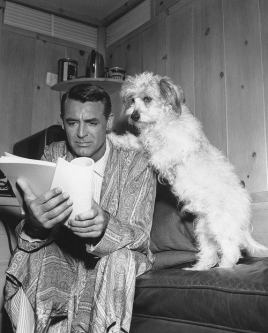 Cary Grant leyendo